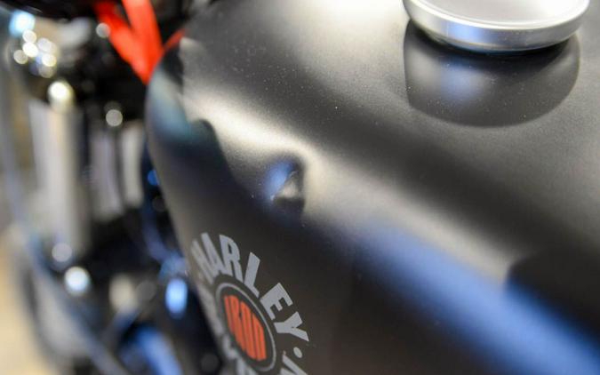 2022 Harley-Davidson Iron 883™