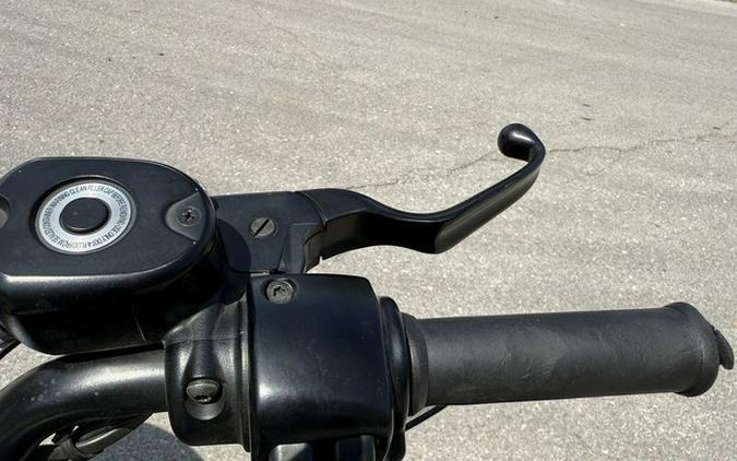 2015 Harley-Davidson Sportster XL883N - Iron 883