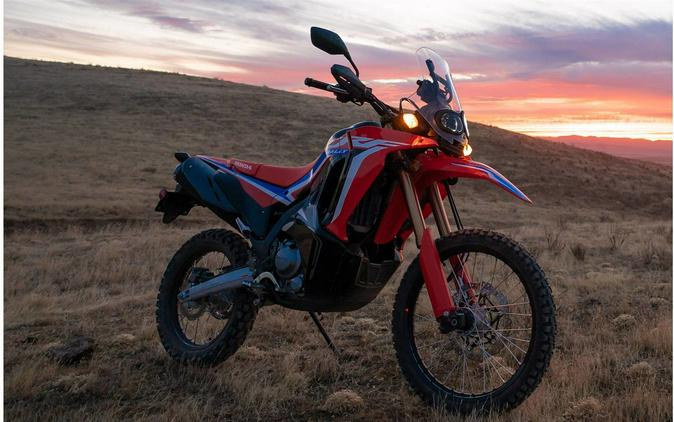 2022 Honda CRF300L Rally