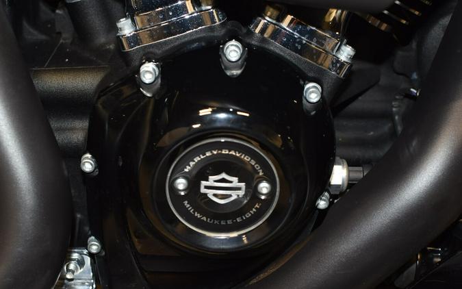 2019 Harley-Davidson Street Glide Special Gray Denim