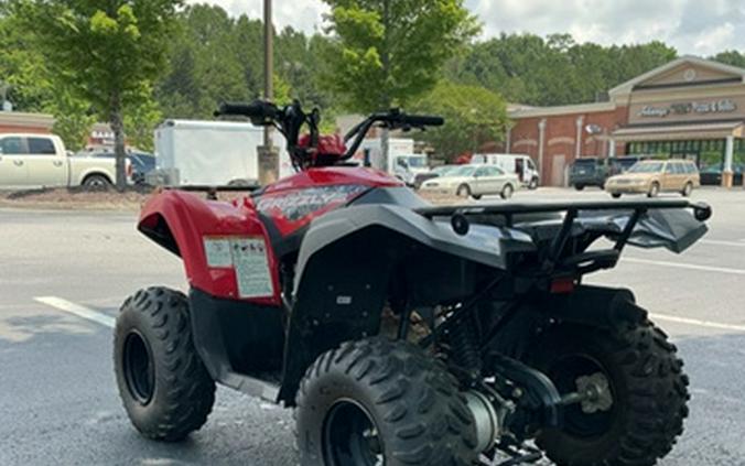 2024 Yamaha Grizzly 110 110