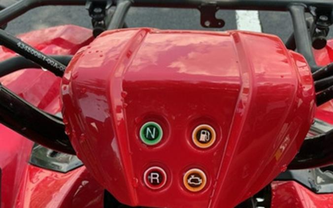 2024 Yamaha Grizzly 110 110