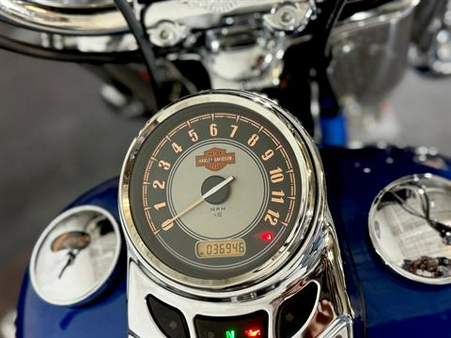 2009 Harley-Davidson FLSTC Heritage Softail® Classic