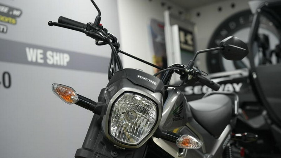 2024 Honda® Navi Arctic Silver Metallic