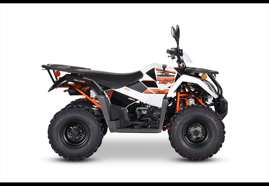 2025 Kayo NEW! Bull 300 EFI [Age 14+]