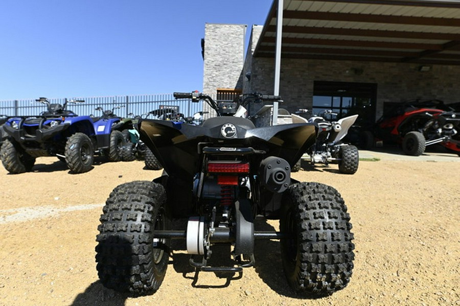 2026 Can-Am Renegade 110 EFI