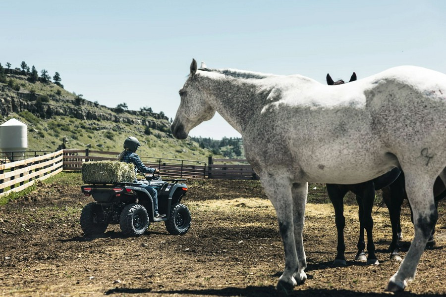 2026 CFMOTO CForce 400