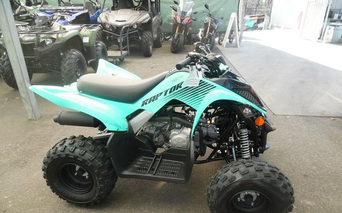 2024 Yamaha Raptor 110