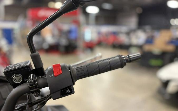 2026 Kawasaki Versys-X 300 ABS