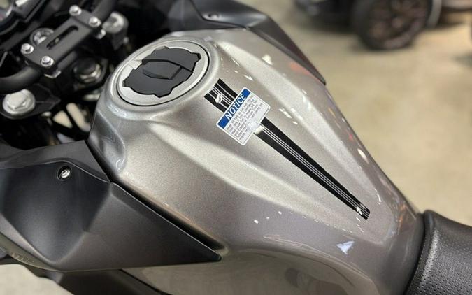 2026 Kawasaki Versys-X 300 ABS