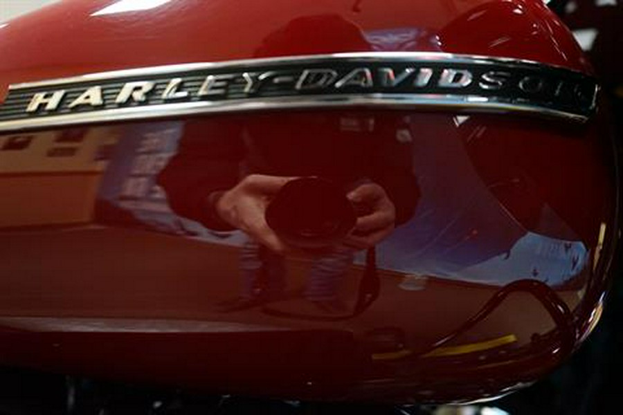 2020 Harley-Davidson Road Glide® Special