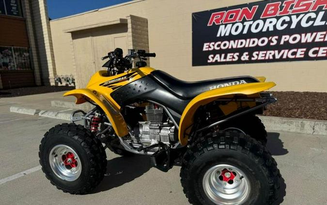 2004 Honda® Sportrax 250EX