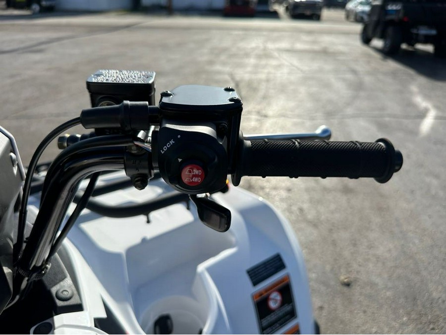 2025 Kawasaki Brute Force 450 4x4