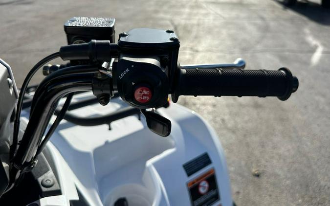 2025 Kawasaki Brute Force 450 4x4