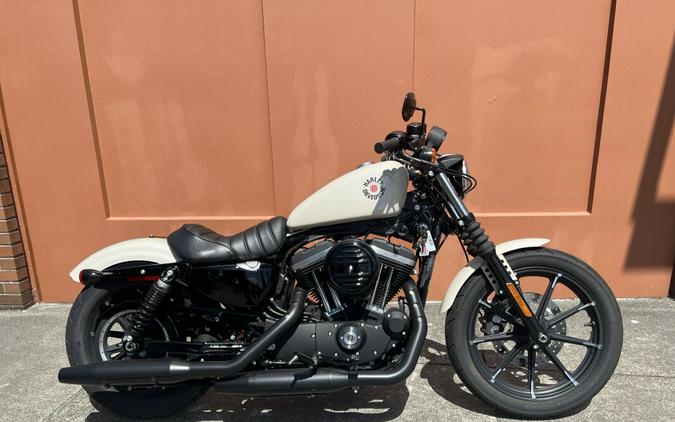 2022 Harley-Davidson Iron 883 Review [Air-Cooled Sportster]