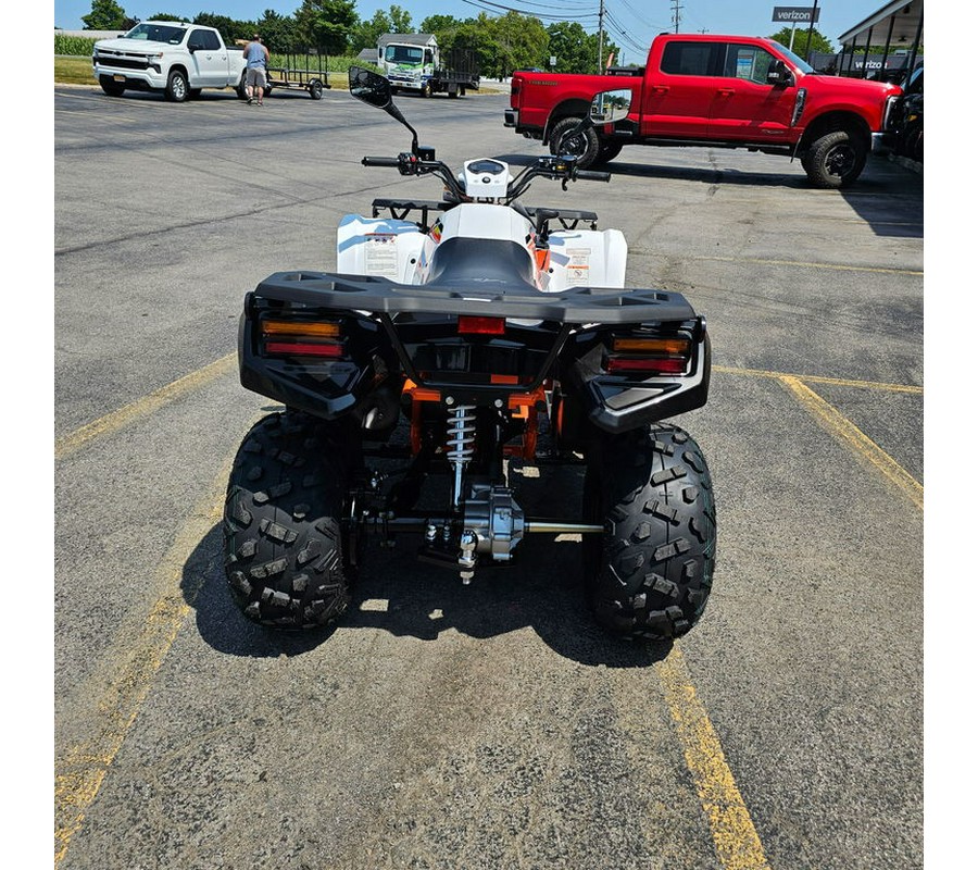 2025 Kayo Bull 300 EFI