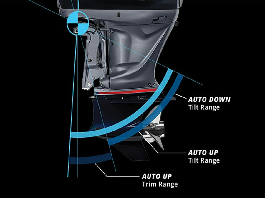 0 Yamaha VF250 4.2L V6 V MAX SHO 25 in.