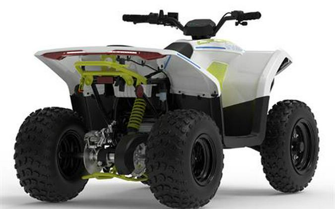 2024 CFMOTO CForce EV110