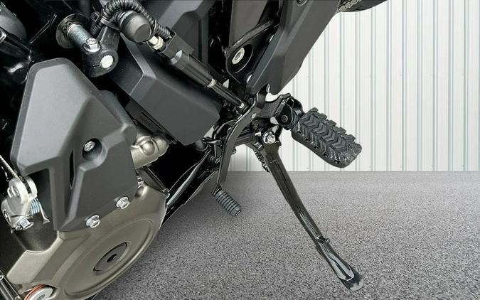 2025 Suzuki V-STROM 800DE