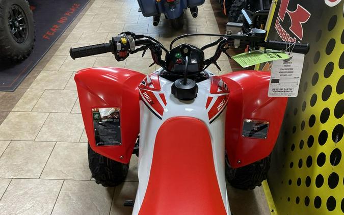 2024 Honda® TRX250X