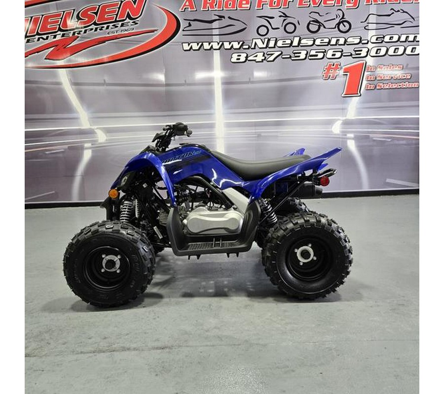 2024 Yamaha Raptor 110