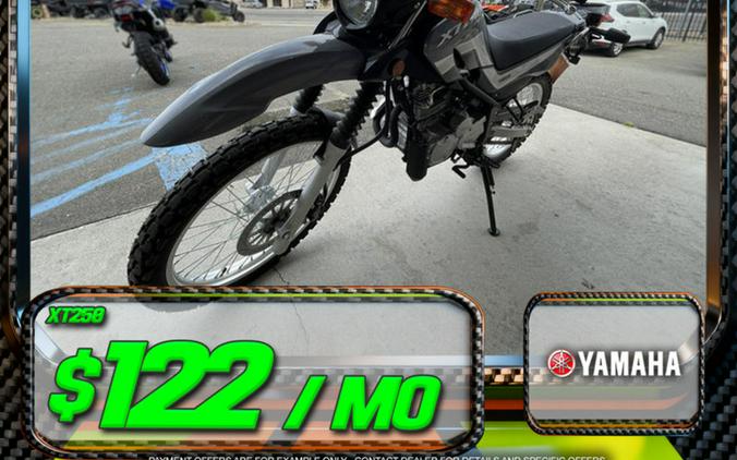 2025 Yamaha XT 250