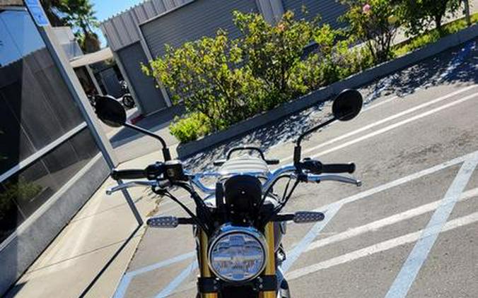 2026 Royal Enfield Bear 650 Golden Shadow