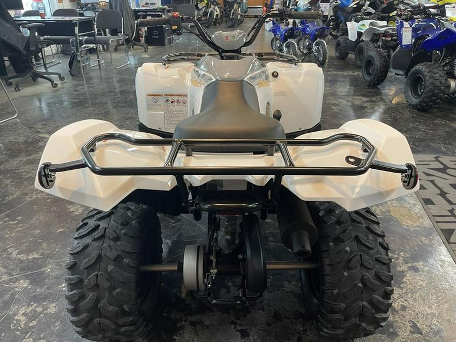 2024 Yamaha Grizzly 90