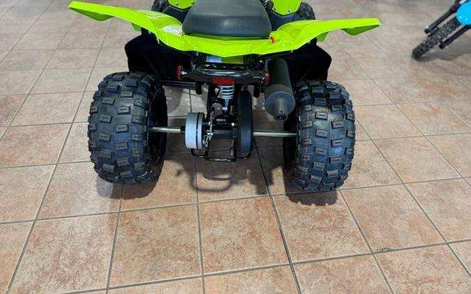 2026 Yamaha Raptor 110