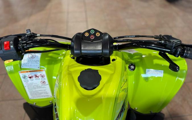 2026 Yamaha Raptor 110