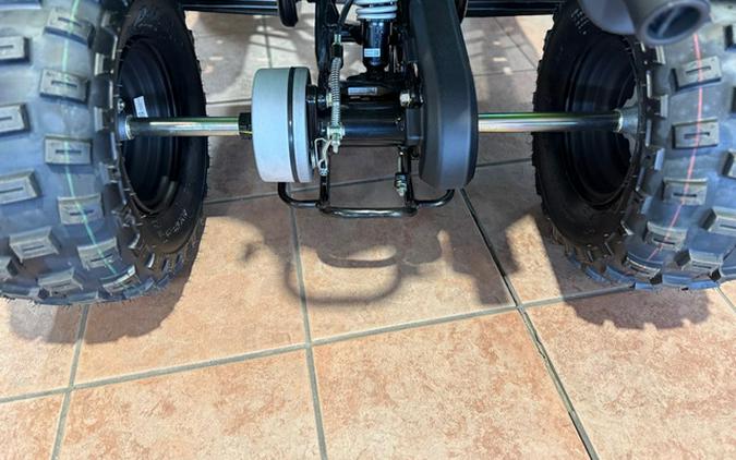2026 Yamaha Raptor 110