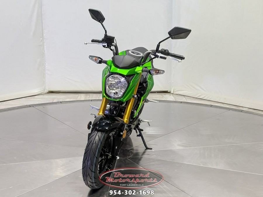 2024 Kawasaki Z125 PRO