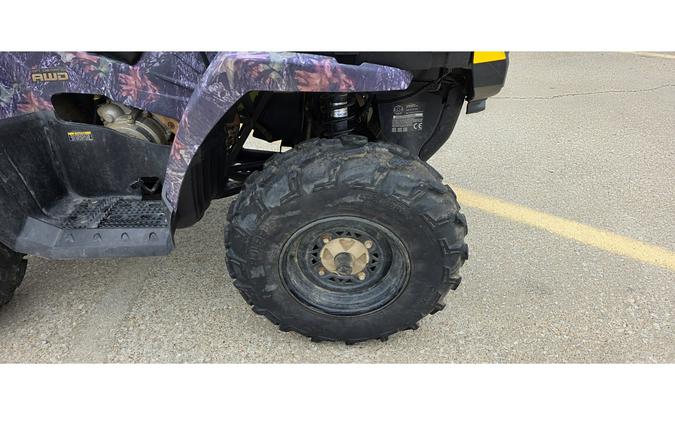 2007 Polaris SPORTSMAN 500 EFI