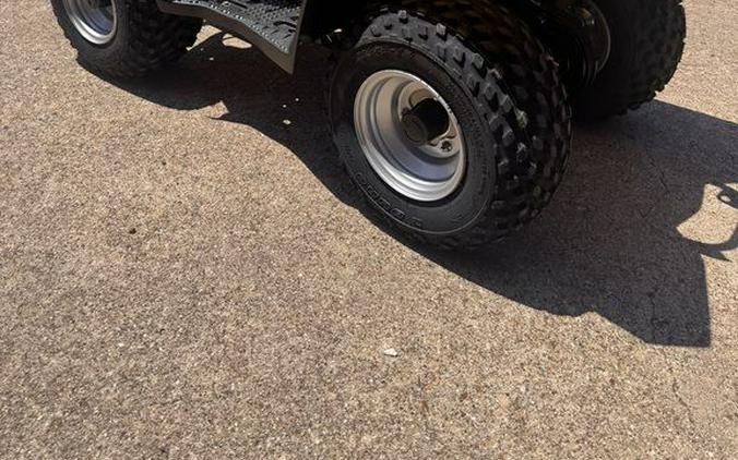 2026 Suzuki QuadSport Z50