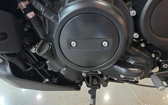 2025 Harley-Davidson® Pan America® 1250 ST RA1250ST