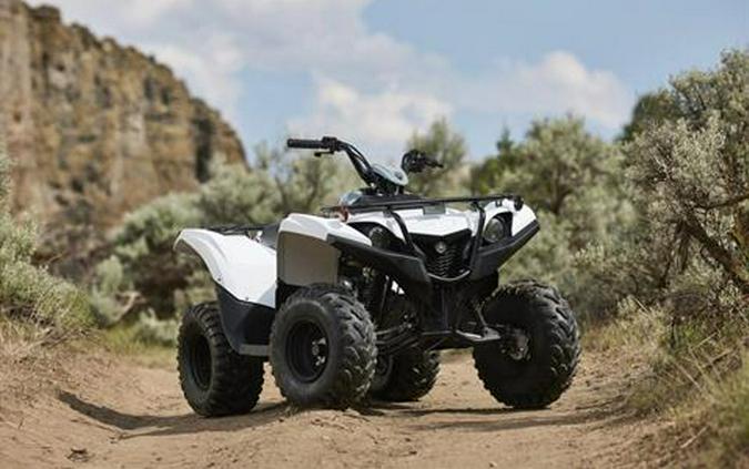 2024 Yamaha Grizzly 90