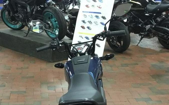 2024 Honda® Navi Blue Metallic