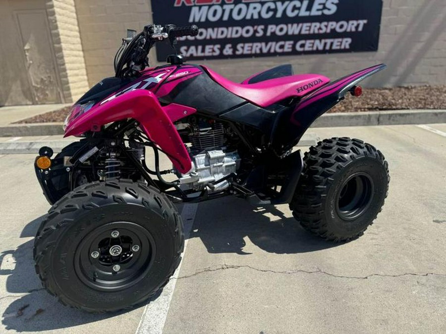 2021 Honda® TRX250X