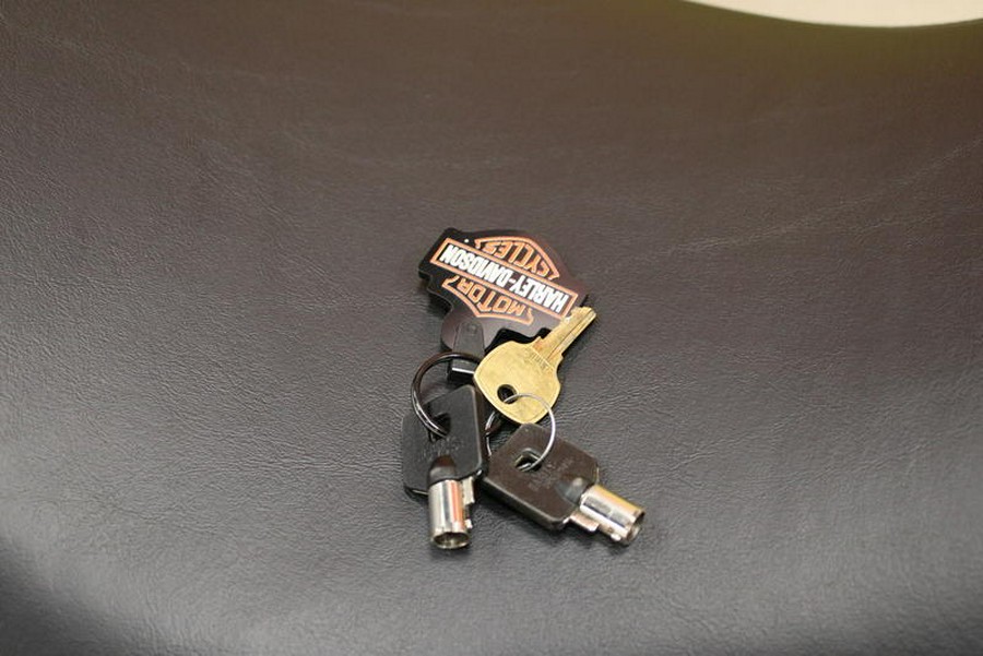 2023 Harley-Davidson® FLHTP