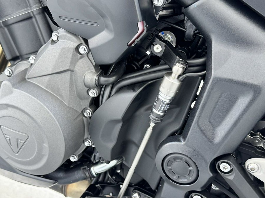 2026 Triumph Trident 800 Jet black