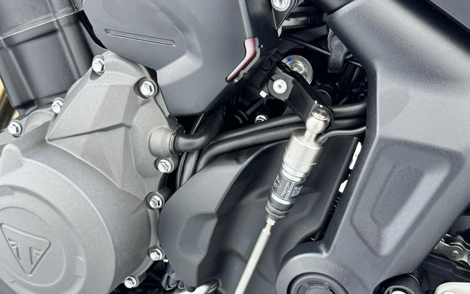 2026 Triumph Trident 800 Jet black