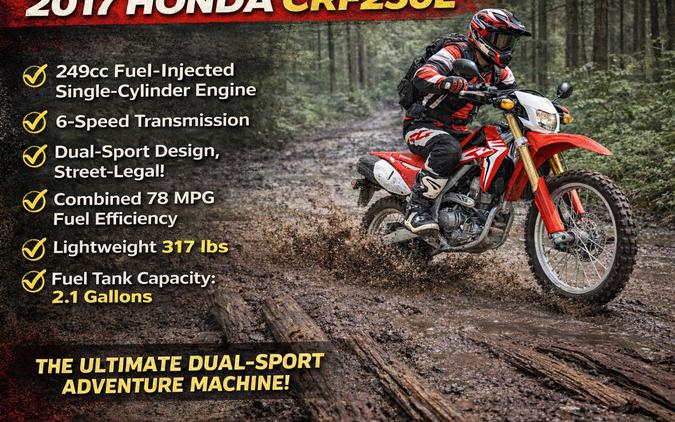 2017 HONDA CRF250L - F004954