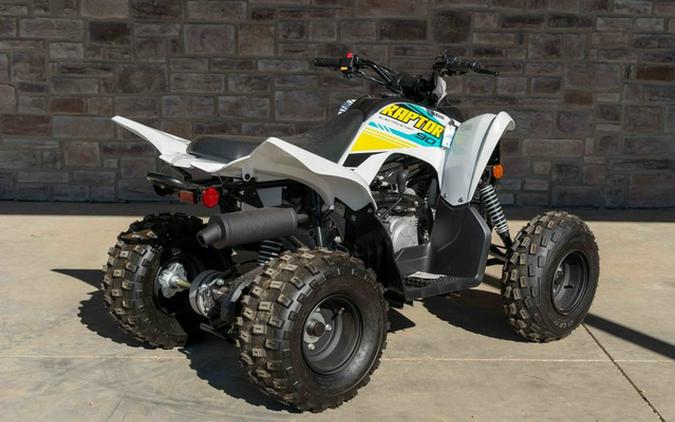 2023 Yamaha Raptor 90