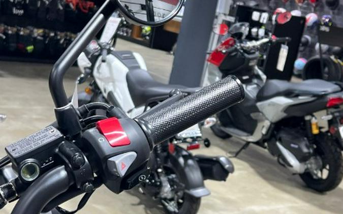 2026 Honda Rebel 500