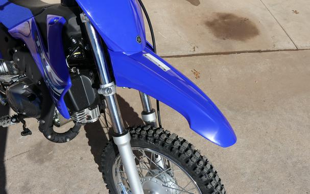 2027 YAMAHA TT-R110E