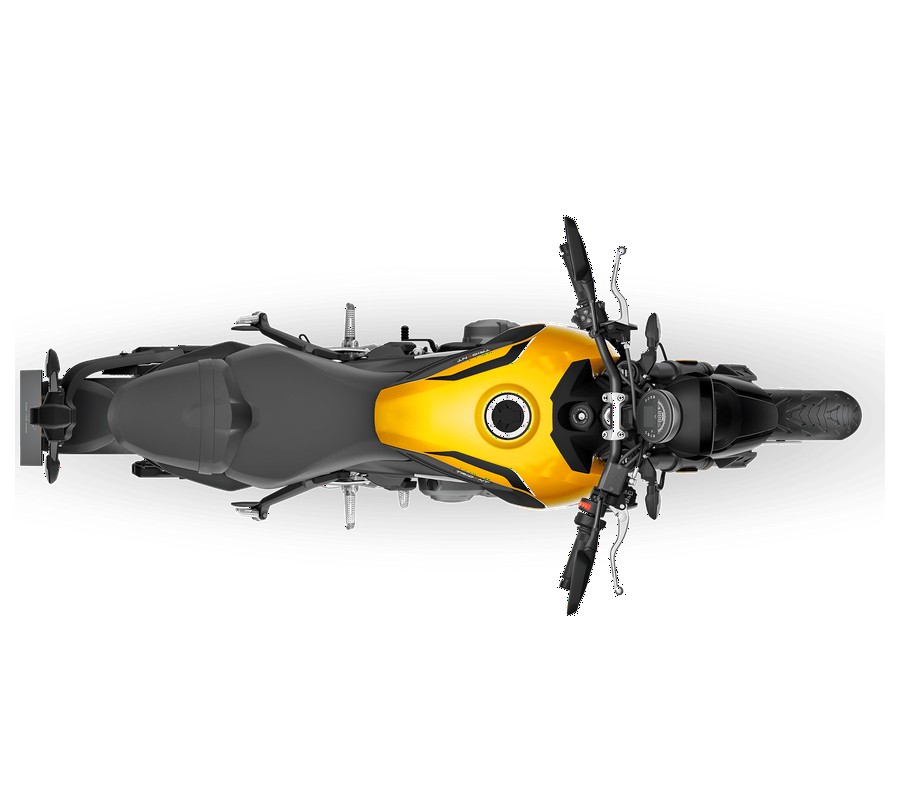 2026 Triumph Trident 660