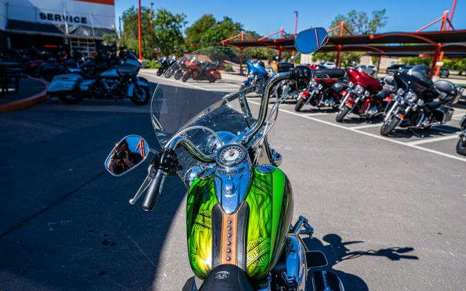 2009 Heritage Softail Classic FLSTC