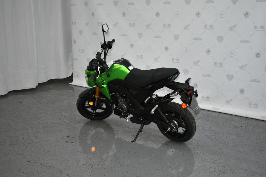 2024 Kawasaki Z125 PRO Base