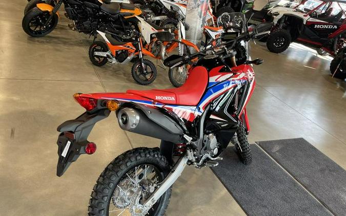 2024 Honda® CRF300L Rally