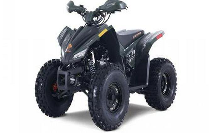 2026 Denago Powersports Trailhawk 10FI